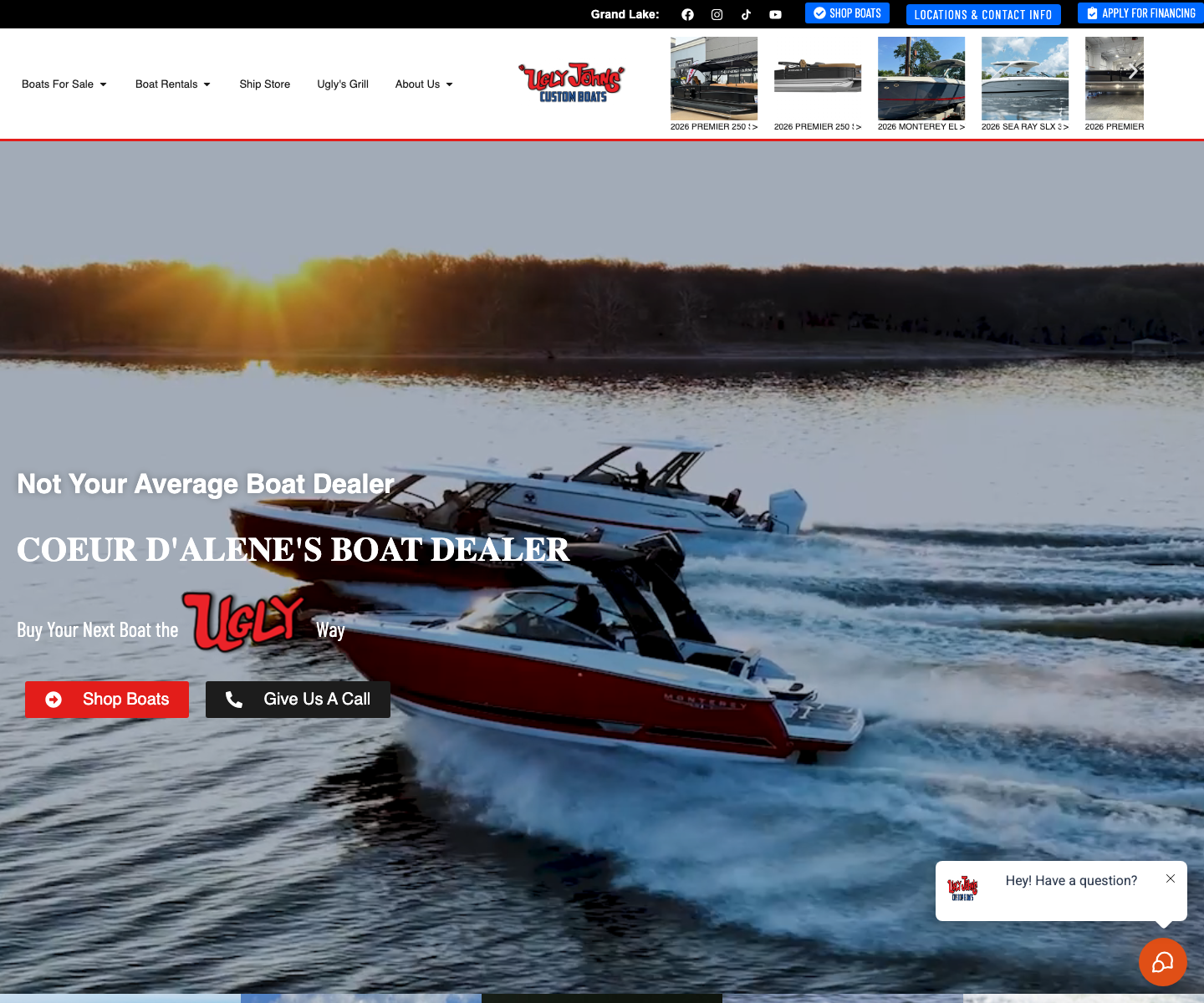 Homepage screenshot showing the preview site's hero section