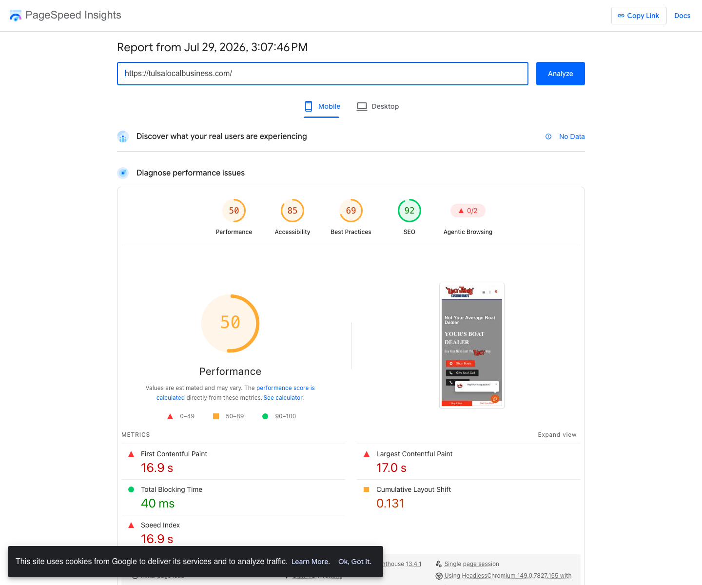 PageSpeed Insights mobile report screenshot